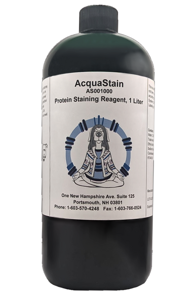 Acquastain 1-Step Protein Stain, 1 L