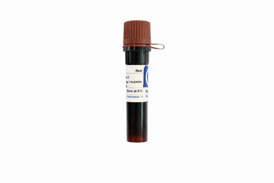 Redsafe Nucleic Acid Staining Solution