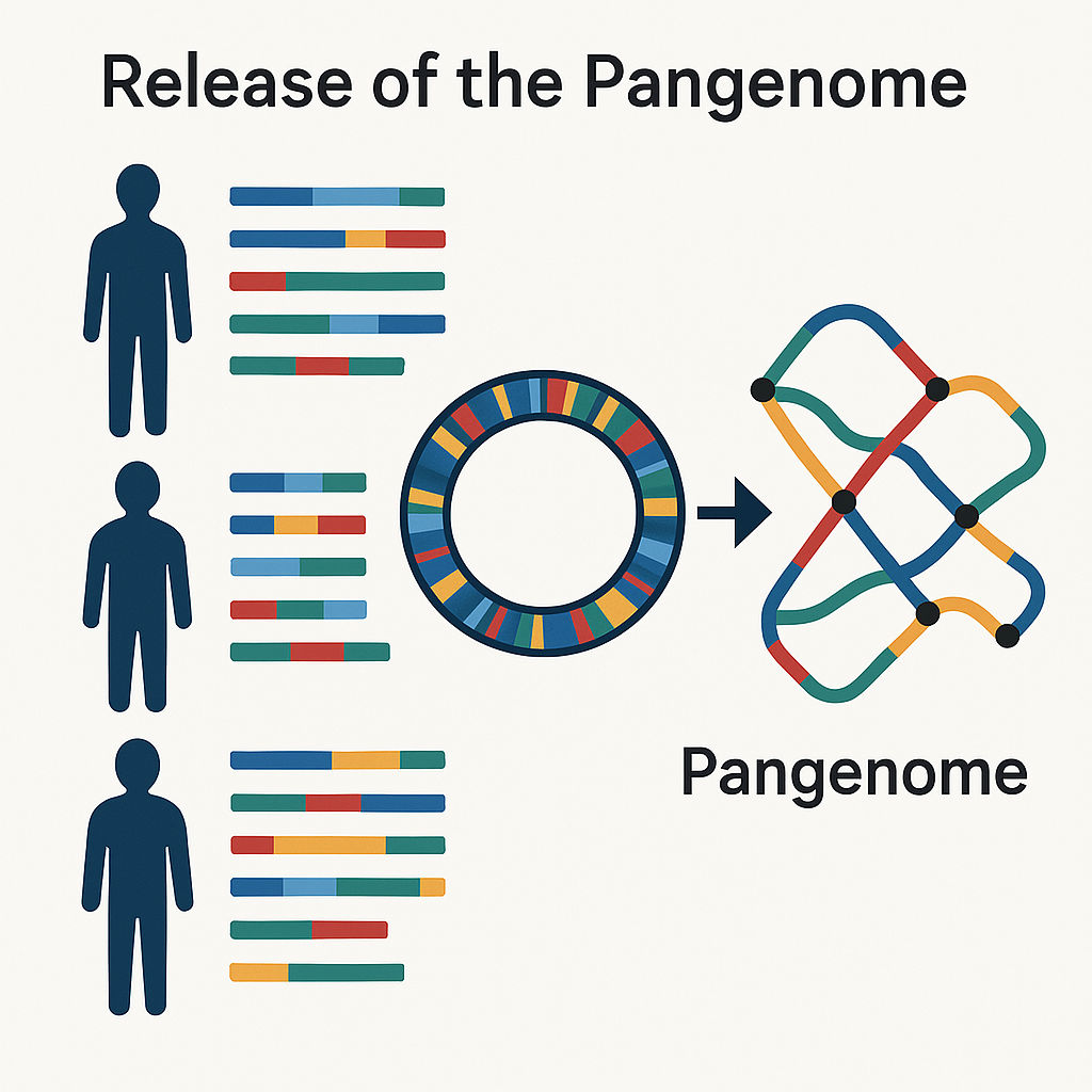 The human pangenome