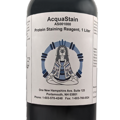 Collection image for: Protein and DNA Stains