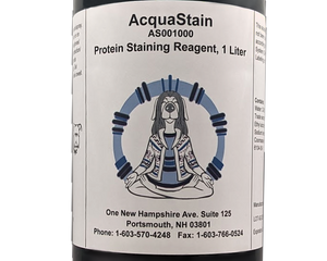 Collection image for: Protein and DNA Stains