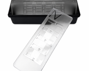 Collection image for: Hemacytometer Chips