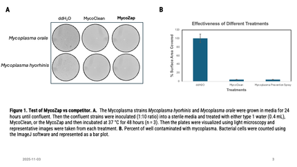 🍁CSR MycoZap, Mycoplasma Prevention Spray