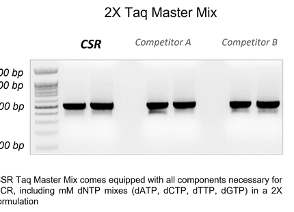 🍁 CSR 2X Taq Master Mix (with Dye)