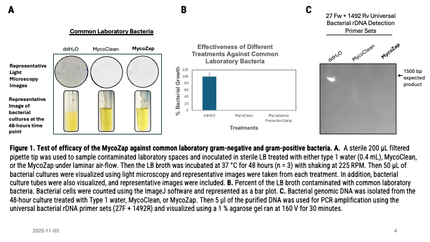 🍁CSR MycoZap, Mycoplasma Prevention Spray