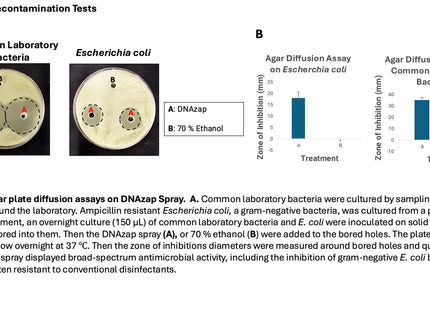 🍁 CSR DNAzap Broad Spectrum DNA and Protein Decontamination Spray (250 mL)