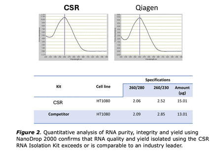 🍁 CSR RNA Extraction Kit