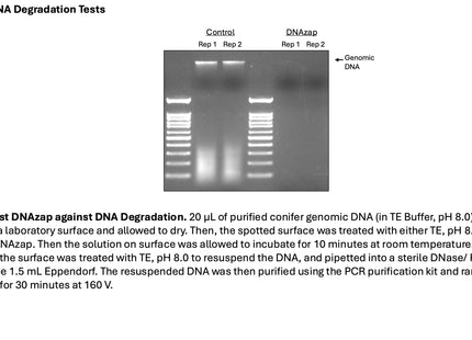 🍁 CSR DNAzap Broad Spectrum DNA and Protein Decontamination Spray (250 mL)