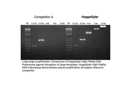HoppeSyler High Fidelity DNA Polymerase