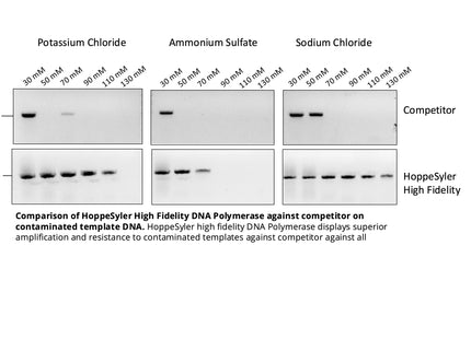 HoppeSyler High Fidelity DNA Polymerase