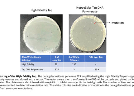 HoppeSyler High Fidelity DNA Polymerase