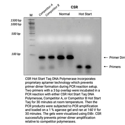 🍁 CSR Hot Start Taq DNA Polymerase, with 10X Reaction Buffer (no dNTPs)