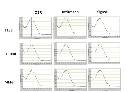 🍁 CSR Mammalian Genomic DNA Isolation Kit