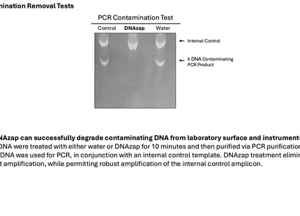 🍁 CSR DNAzap Broad Spectrum DNA and Protein Decontamination Spray (250 mL)