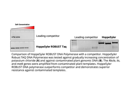 HoppeSyler ROBUST DNA Polymerase