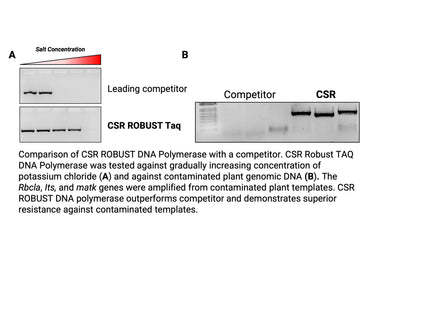 🍁 CSR ROBUST DNA Polymerase, with 10X ROBUST PCR Buffer (no dNTPs)