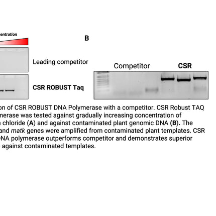 🍁CSR ROBUST DNA Polymerase, with 10X ROBUST PCR Buffer (no dNTPs)