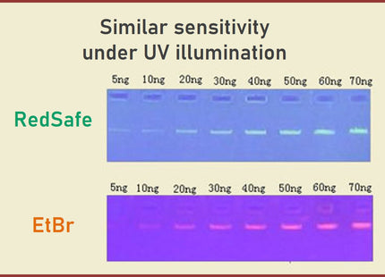 Redsafe Nucleic Acid Staining Solution