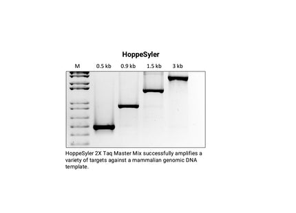 HoppeSyler 2X Hot Start Taq Master Mix with Dye