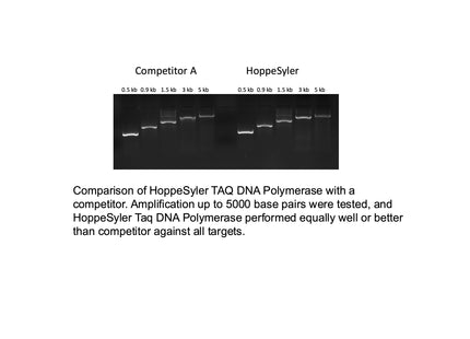 HoppeSyler Taq DNA Polymerase