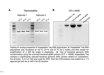 HoppeSyler Taq DNA Polymerase
