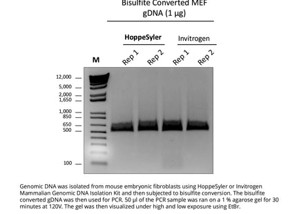 HoppeSyler Mammalian Genomic DNA Purification Kit