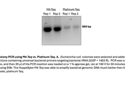 HoppeSyler M4 Taq DNA Polymerase
