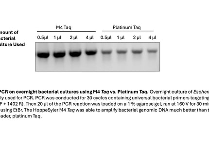 HoppeSyler M4 Taq DNA Polymerase