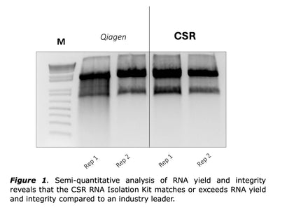 🍁 CSR RNA Extraction Kit