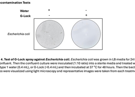 🍁 CSR G-Lock Broad Spectrum DNA and Protein Decontamination Spray (250 mL)