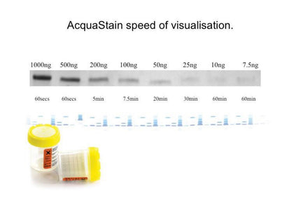 Acquastain 1-Step Protein Stain, 1 L