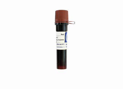Redsafe Nucleic Acid Staining Solution