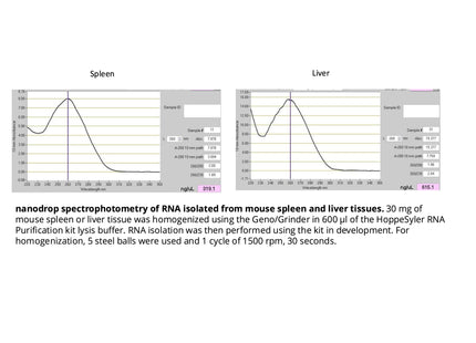 HoppeSyler Mammalian RNA Purification Kit