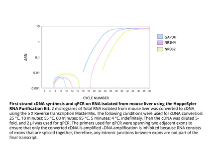 HoppeSyler Mammalian RNA Purification Kit