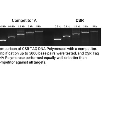 🍁 CSR Hot Start Taq DNA Polymerase, with 10X Reaction Buffer (no dNTPs)