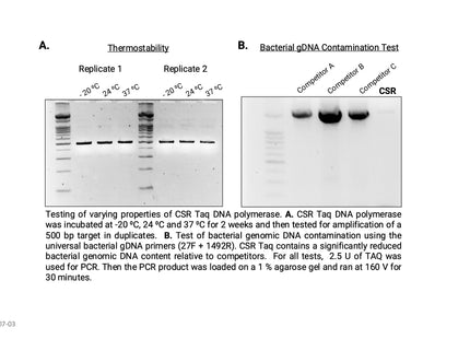 🍁 CSR Taq DNA Polymerase, with 10X Reaction Buffer (no dNTPs)