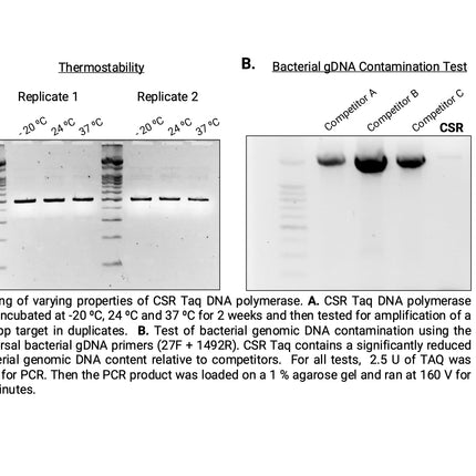 🍁 CSR Hot Start Taq DNA Polymerase, with 10X Reaction Buffer (no dNTPs)